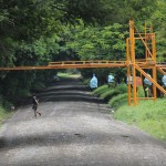 Banana Crossing