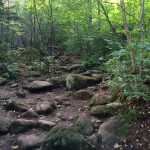 Cascade Mountain Hike (High Peak #1) 10