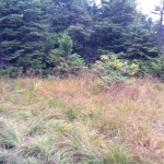 Cascade Mountain Hike (High Peak #1) 9