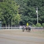 Saratoga: At the Races 2