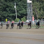 Saratoga: At the Races 15