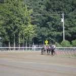 Saratoga: At the Races 1