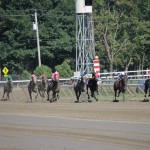 Saratoga: At the Races 17