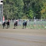Saratoga: At the Races 18