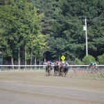 Saratoga: At the Races 3