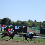 Saratoga: At the Races 43