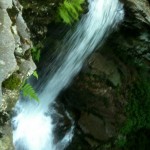 Ricketts Glen Falls Trail 2010 4