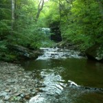 Ricketts Glen Falls Trail 2010 5