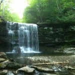 Ricketts Glen Falls Trail 2010 9