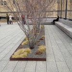 Highline Park 1