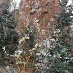 Highline Park 7