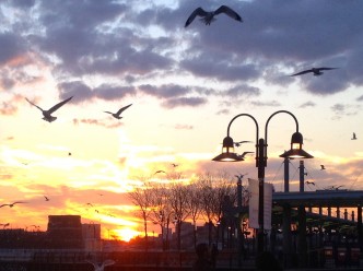 Newport and Lackawanna Station 4