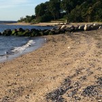 Sands Point, Long Island 1