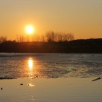 Liberty State Park Migratory Bird Sanctuary 25