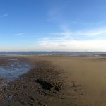 Liberty State Park Migratory Bird Sanctuary 22