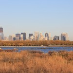 Liberty State Park Migratory Bird Sanctuary 3