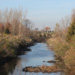 Liberty State Park Migratory Bird Sanctuary 6