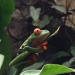 Costa Rica 16