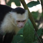 Costa Rica 3