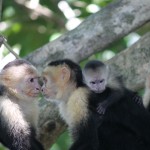 Costa Rica 4