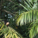Costa Rica 1