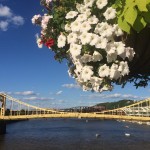Pittsburgh 3