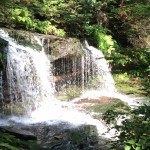 Ricketts Glen Falls Trail 2014 3