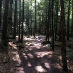 Ricketts Glen Falls Trail 2014 2