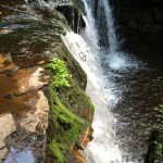 Ricketts Glen Falls Trail 2014 4