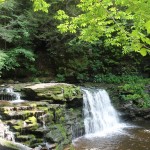 Ricketts Glen Falls Trail 2014 5