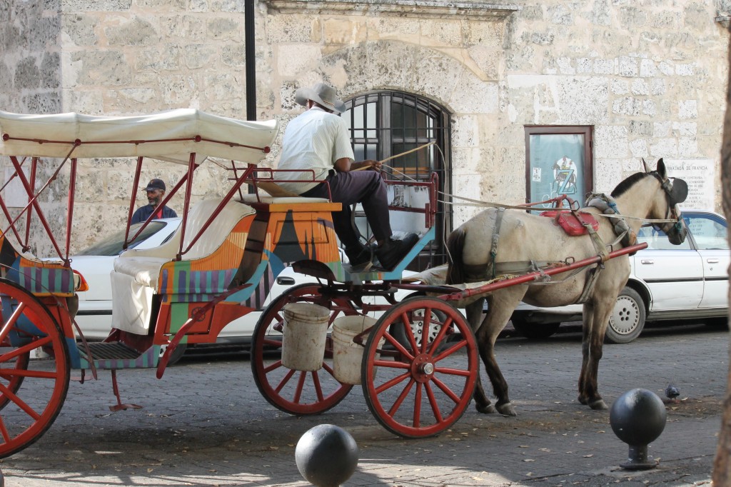 Preaching to the Sea, Santo Domingo 13
