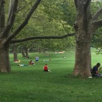 2016 Summer Streets: Central Park Sheep Meadow