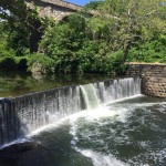 Wissahickon Park