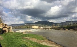 River Arno