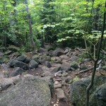 Mount Jo 2