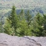 Mount Jo 4