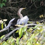 Costa Rica 21